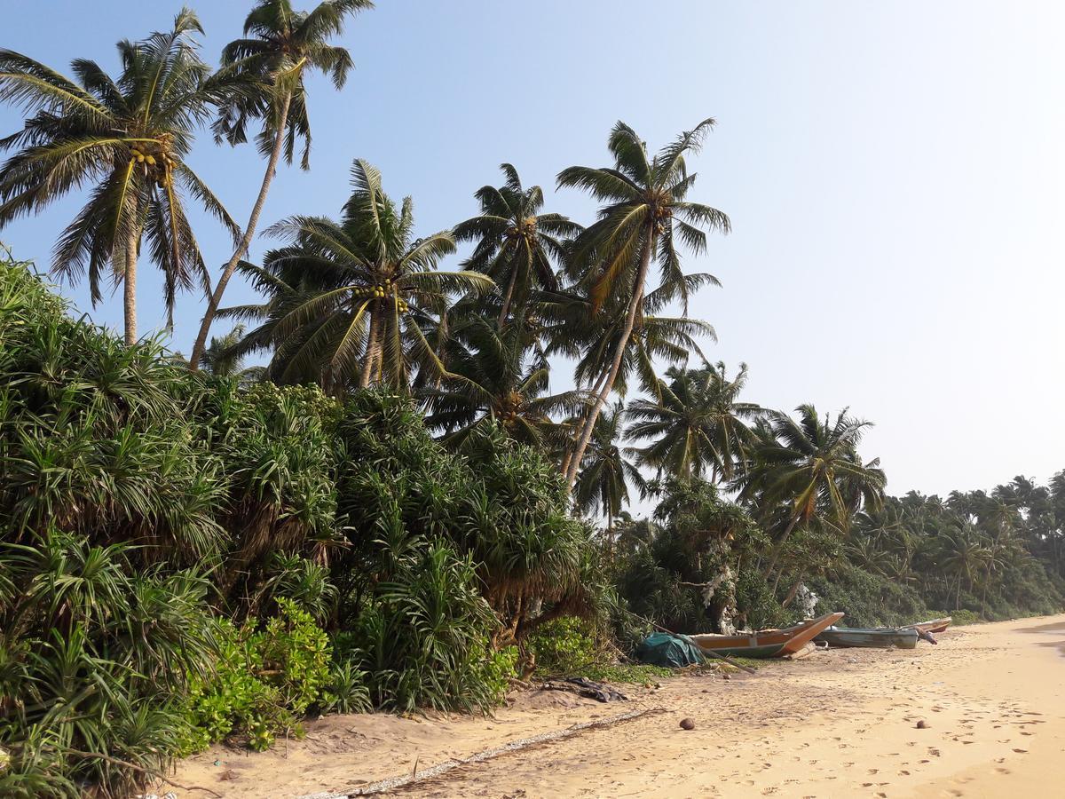 Leatherback Beach Villa أهونغالا المظهر الخارجي الصورة